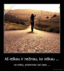 Aš ieškau ir nežinau, ko ieškau ... - na nieko, prisiminsiu kai rasiu ...