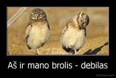 Aš ir mano brolis - debilas - 