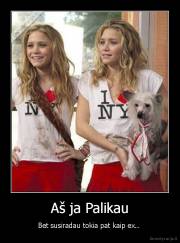 Aš ja Palikau - Bet susiradau tokia pat kaip ex.. 