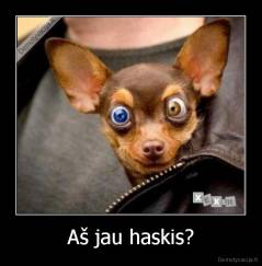 Aš jau haskis? - 