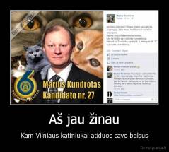 Aš jau žinau - Kam Vilniaus katiniukai atiduos savo balsus
