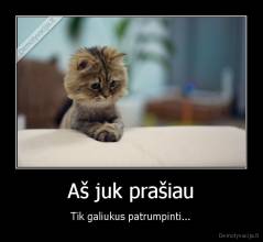 Aš juk prašiau - Tik galiukus patrumpinti...