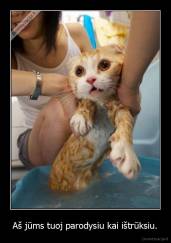 Aš jūms tuoj parodysiu kai ištrūksiu. - 