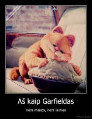 Aš kaip Garfieldas - nėra maisto, nėra laimės