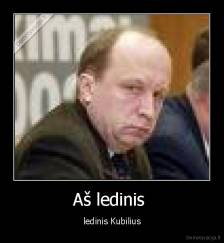 Aš ledinis  - ledinis Kubilius