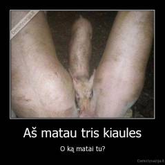 Aš matau tris kiaules - O ką matai tu?