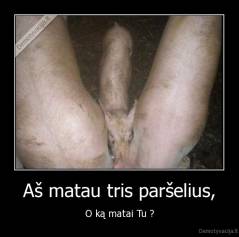 Aš matau tris paršelius, - O ką matai Tu ?