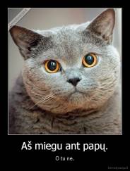 Aš miegu ant papų. - O tu ne.