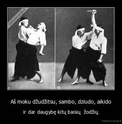 Aš moku džudžitsu, sambo, dziudo, aikido - ir dar daugybę kitų baisių  žodžių.