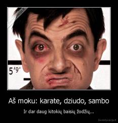 Aš moku: karate, dziudo, sambo - Ir dar daug kitokių baisių žodžių...