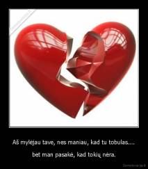 Aš mylėjau tave, nes maniau, kad tu tobulas.... - bet man pasakė, kad tokių nėra.