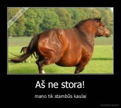 Aš ne stora! - mano tik stambūs kaulai