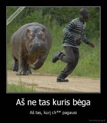 Aš ne tas kuris bėga - Aš tas, kurį ch** pagausi