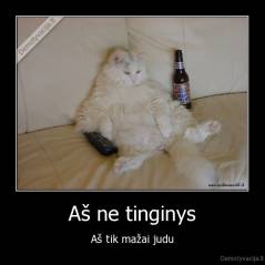 Aš ne tinginys - Aš tik mažai judu