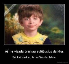 Aš ne visada tvarkau sulūžusius daiktus - Bet kai tvarkau, tai su*isu dar labiau