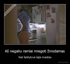 Aš negaliu ramiai miegoti žinodamas - Kad šaldytuve šąla maistas