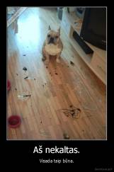 Aš nekaltas. - Visada taip būna.