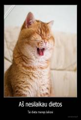 Aš nesilaikau dietos - Tai dieta manęs laikosi