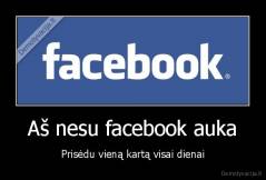 Aš nesu facebook auka - Prisėdu vieną kartą visai dienai