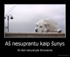 Aš nesuprantu kaip šunys - Iki šiol nenusivylė žmonėmis