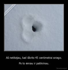 Aš netikėjau, kad iškrito 45 centimetrai sniego. - Po to ėmiau ir patikrinau.