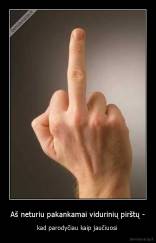 Aš neturiu pakankamai vidurinių pirštų - - kad parodyčiau kaip jaučiuosi 