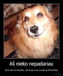 Aš nieko nepadariau - Tokias akis turi šuniukas , kai gryžęs namo pamatai pridirbtą kilimą