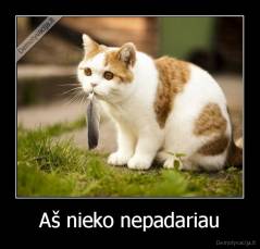 Aš nieko nepadariau - 