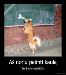 Aš noriu paimti kaulą - Bet kaulas neleidžia