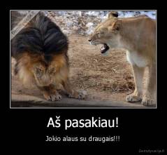 Aš pasakiau! - Jokio alaus su draugais!!!