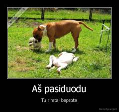 Aš pasiduodu - Tu rimtai beprotė