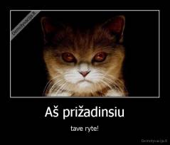 Aš prižadinsiu - tave ryte!