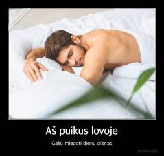 Aš puikus lovoje - Galiu miegoti dienų dienas