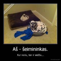 Aš - šeimininkas. - Kur noriu, ten ir sėdžiu...