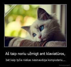 Aš taip noriu užmigt ant klaviatūros, - bet kaip tyčia niekas nesinaudoja kompiuteriu...