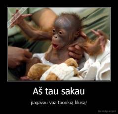 Aš tau sakau - pagavau vaa toookią blusą!