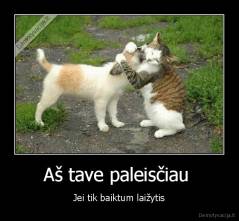 Aš tave paleisčiau  - Jei tik baiktum laižytis