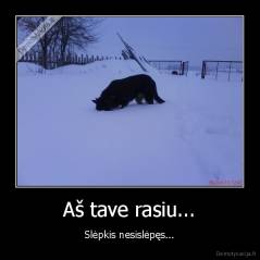 Aš tave rasiu... - Slėpkis nesislėpęs...