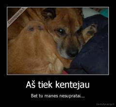 Aš tiek kentejau - Bet tu manes nesupratai...