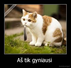 Aš tik gyniausi  - 