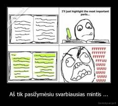 Aš tik pasižymėsiu svarbiausias mintis ... - 