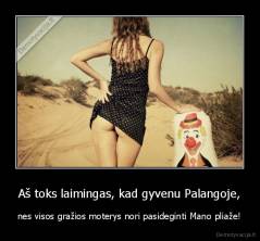 Aš toks laimingas, kad gyvenu Palangoje, - nes visos gražios moterys nori pasideginti Mano pliaže!