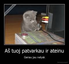 Aš tuoj patvarkau ir ateinu - Geriau jau nelysk