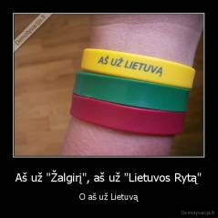 Aš už "Žalgirį", aš už "Lietuvos Rytą" - O aš už Lietuvą
