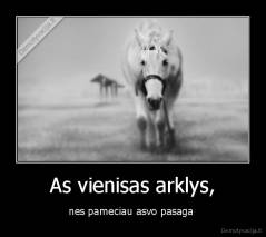 As vienisas arklys, - nes pameciau asvo pasaga 