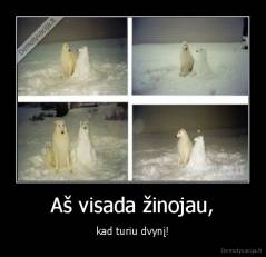 Aš visada žinojau, - kad turiu dvynį!