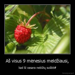 Aš visus 9 mėnesius meldžiausi, - kad ši vasara nebūtų sušikt#