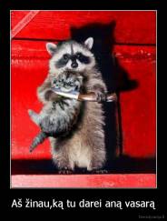 Aš žinau,ką tu darei aną vasarą - 