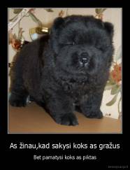 As žinau,kad sakysi koks as gražus - Bet pamatysi koks as piktas