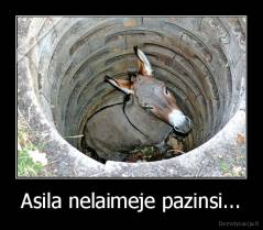 Asila nelaimeje pazinsi... - 